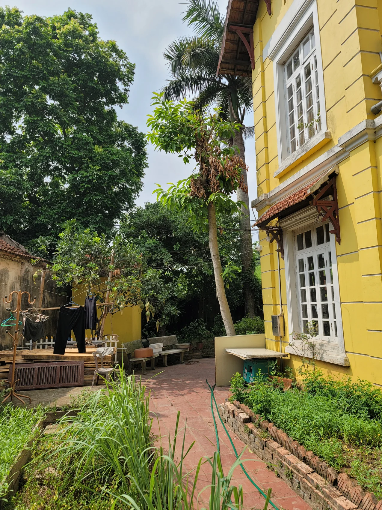 Hông trái trước cải tạo