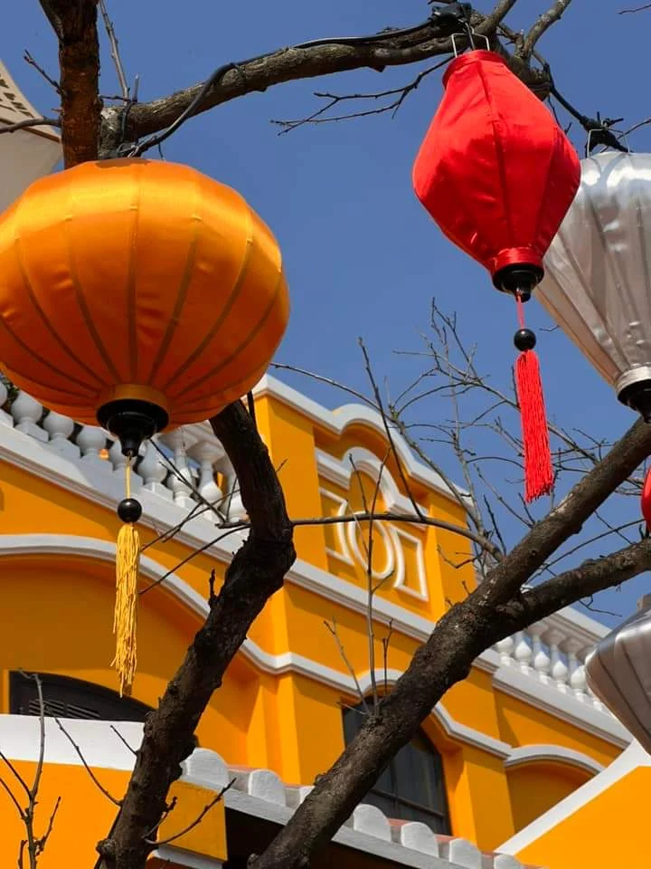 Đèn lồng và cành cây trên nền trời